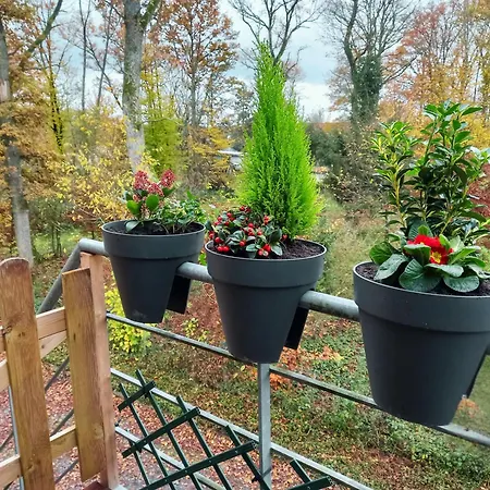 Peace&loft In Old Appartement *
