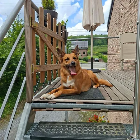 Appartamento Peace&loft In Old Durbuy