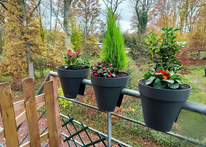 Peace&loft In Old Appartement *
