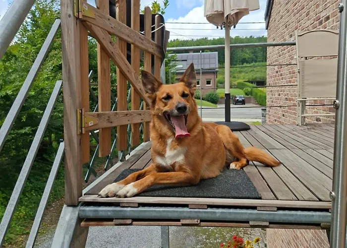 Appartement Peace&loft In Old Durbuy
